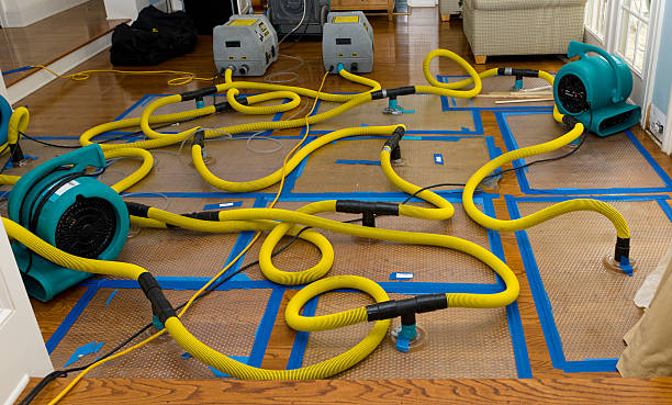 Professional Sewage Cleanup technician working in Kellogg, MN